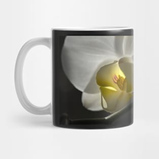 White Orchid Mug